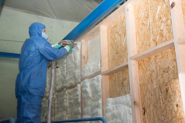 Best Wall Insulation Contractor  in USA